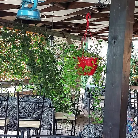 Hotel Pensiunea Casa Moldoveana Piatra Neamt