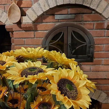 Pensiunea Casa Moldoveana 3* Piatra Neamt