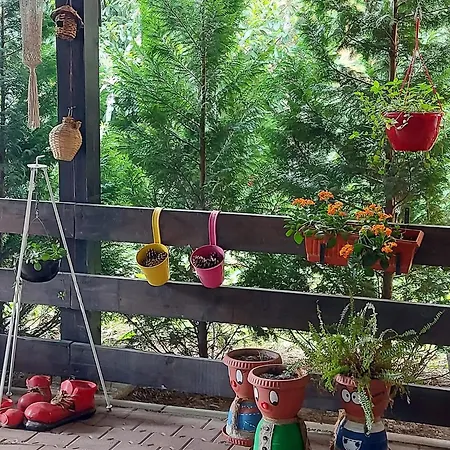 Pensiunea Casa Moldoveana
