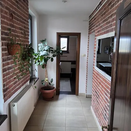 Pensiunea Casa Moldoveana 3*